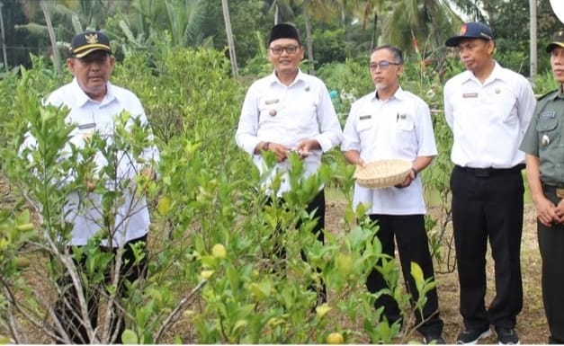 Konten Berita