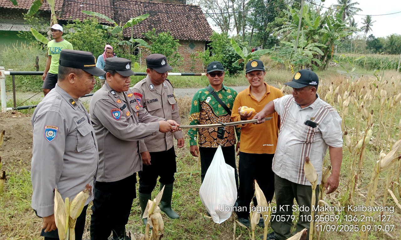 Konten Berita