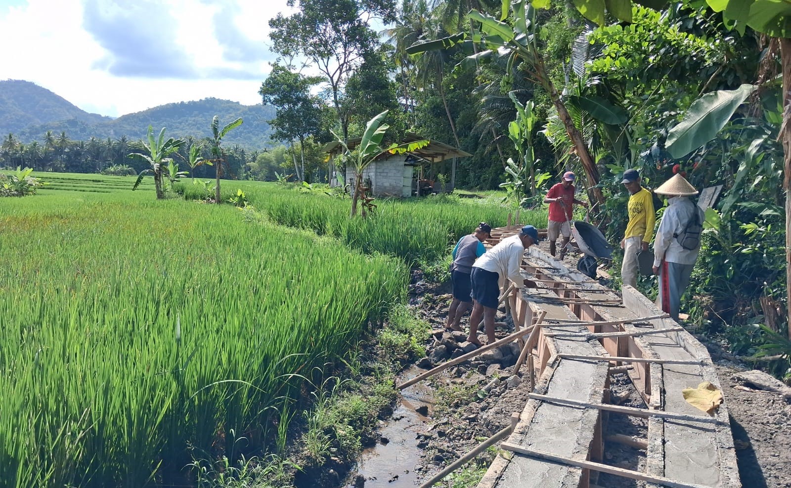 Konten Berita