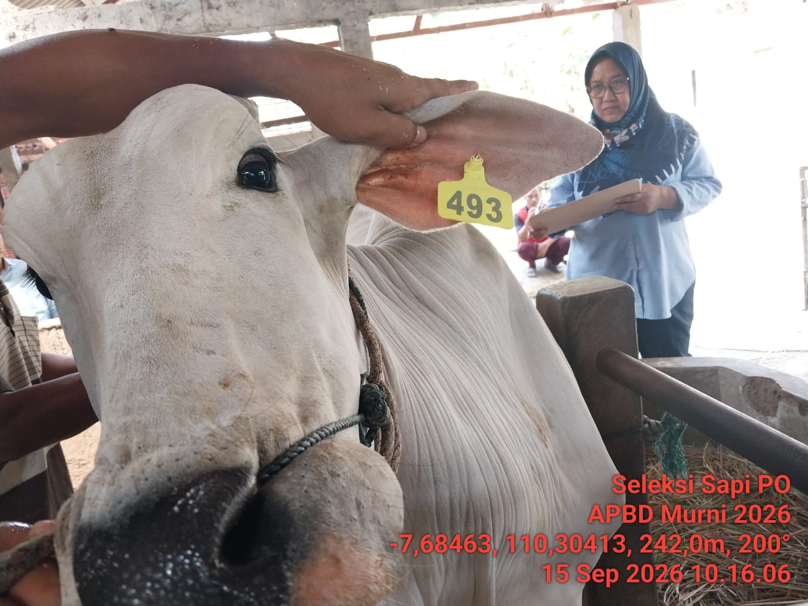 Image Berita 4