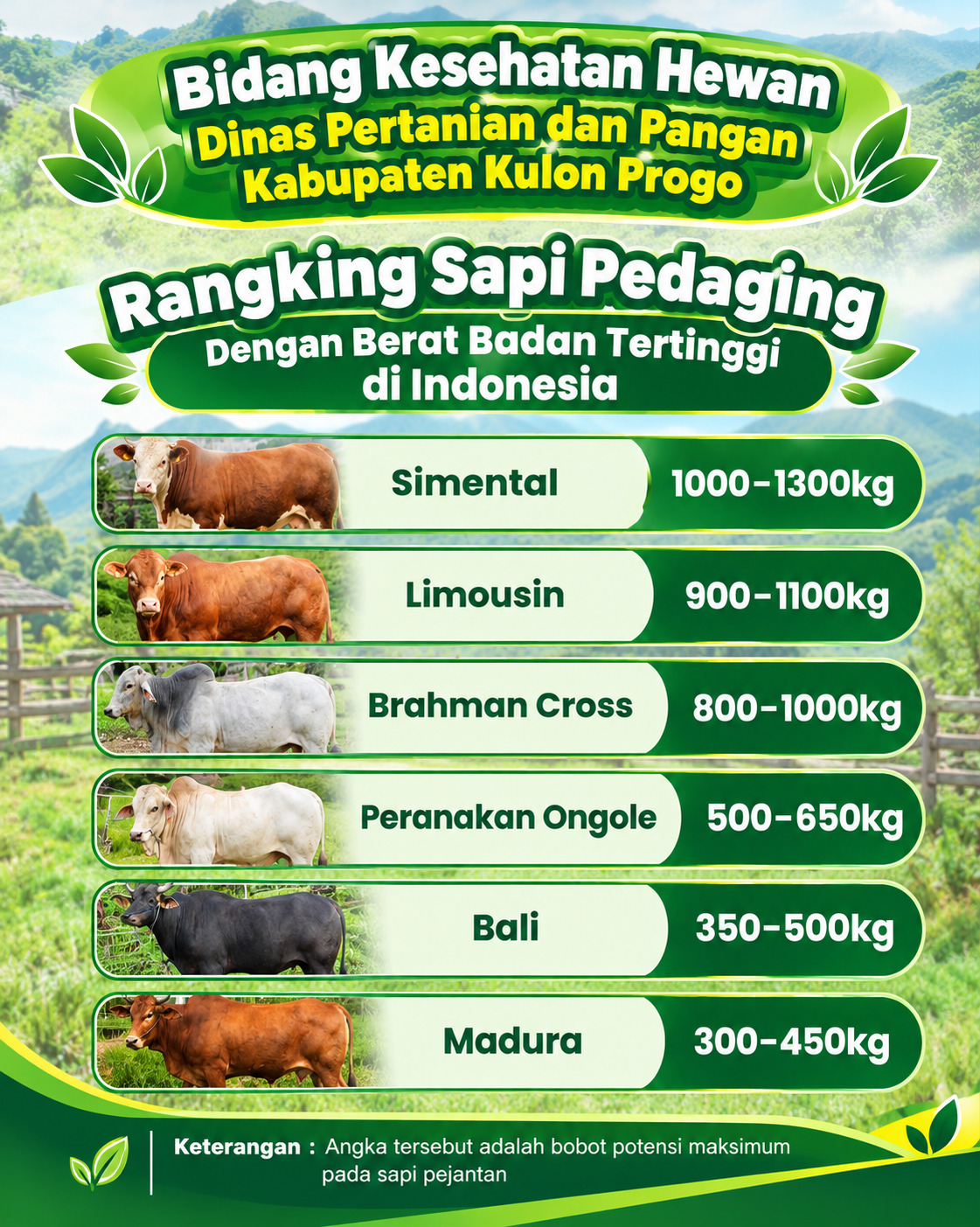 Konten Berita