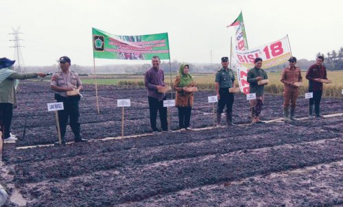 Konten Berita