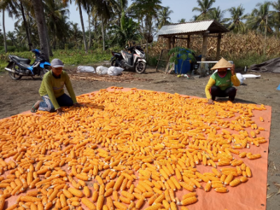 Konten Berita
