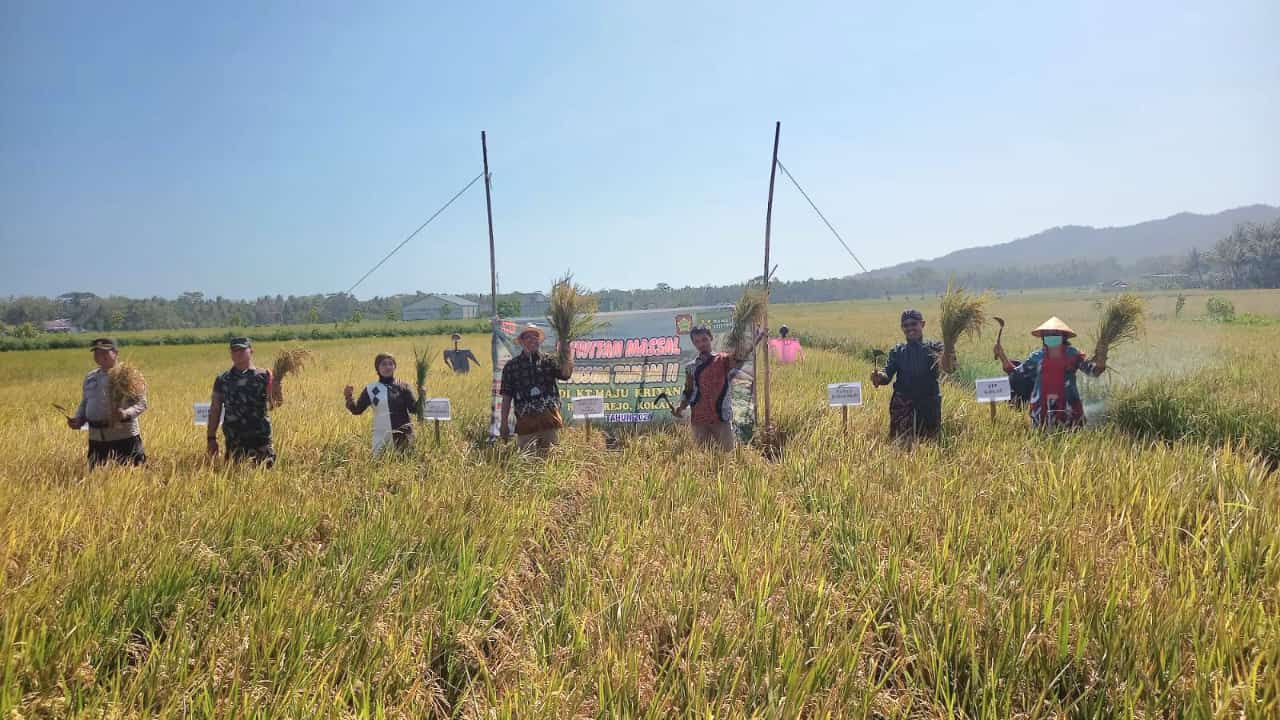 Konten Berita