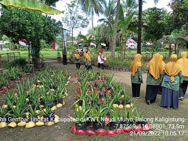 Konten Berita