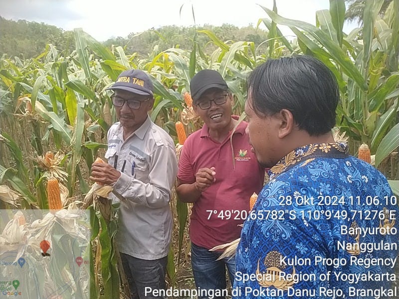 Konten Berita
