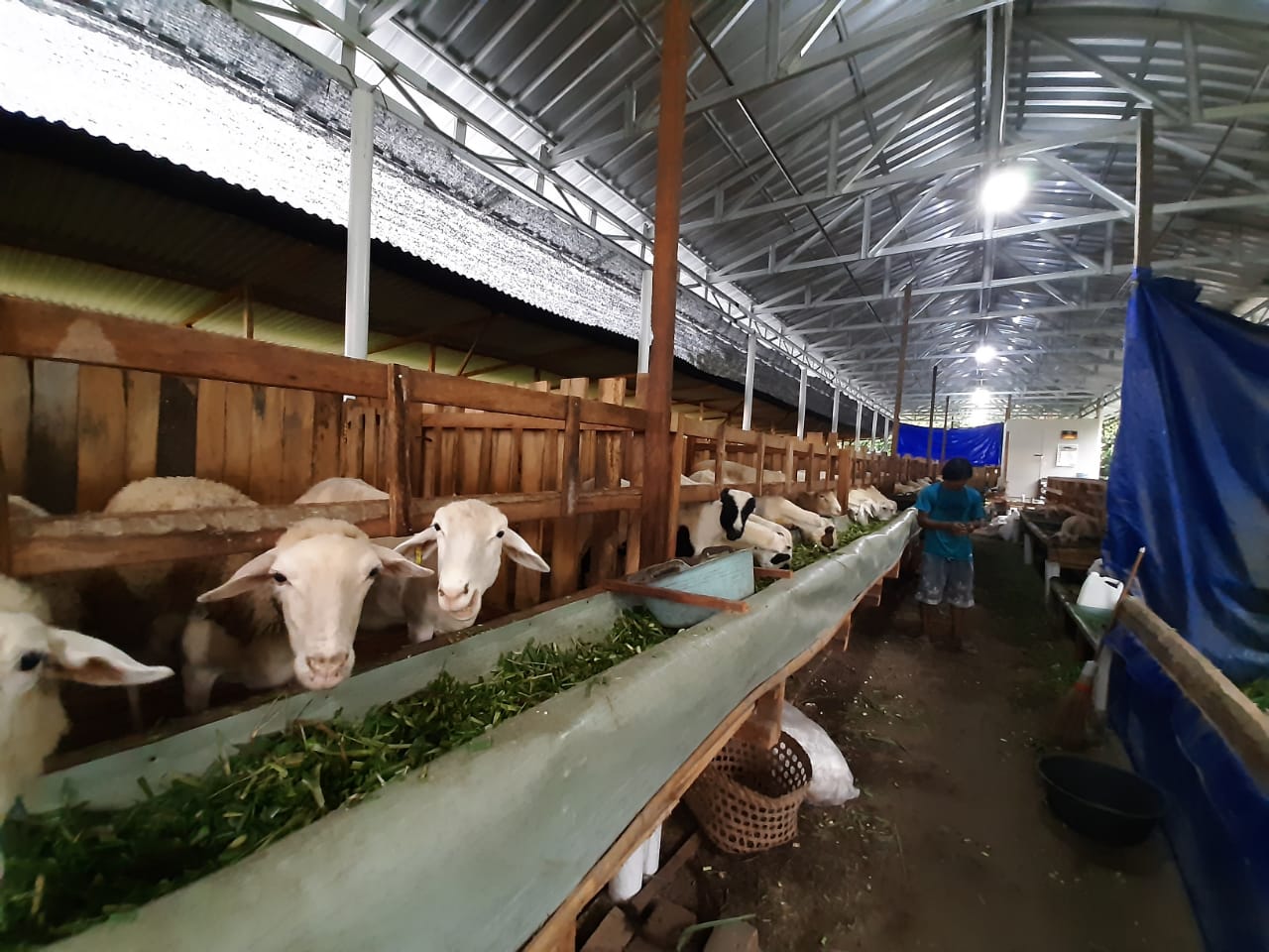 Konten Berita
