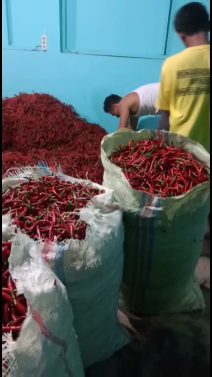 Konten Berita