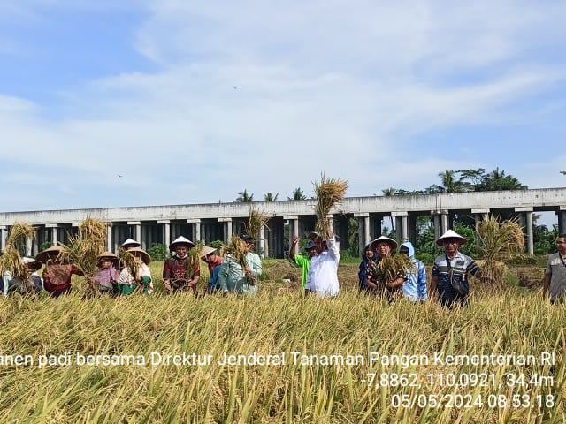 Konten Berita