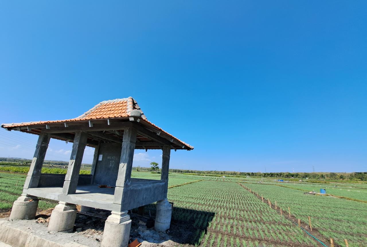 Konten Berita